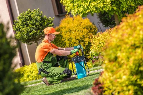 Integrating Design with Nature: A Fresh Take on Kitchen Gardens